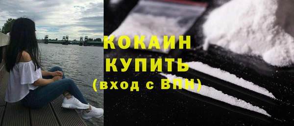 spice Михайлов
