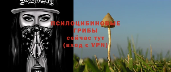 MDMA Premium VHQ Михайловка
