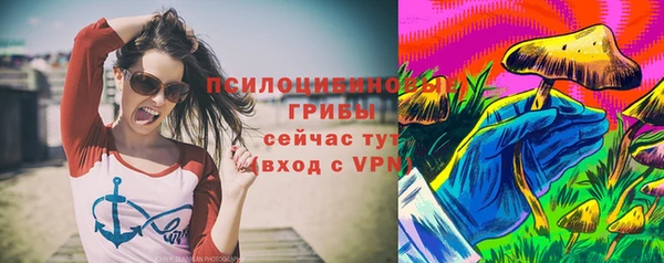 а пвп мука Надым