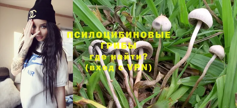 Галлюциногенные грибы MAGIC MUSHROOMS  Красноуфимск 