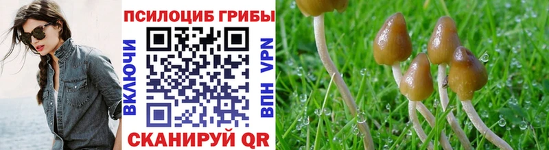 Галлюциногенные грибы Psilocybine cubensis  купить закладку  это как зайти  Красноуфимск 