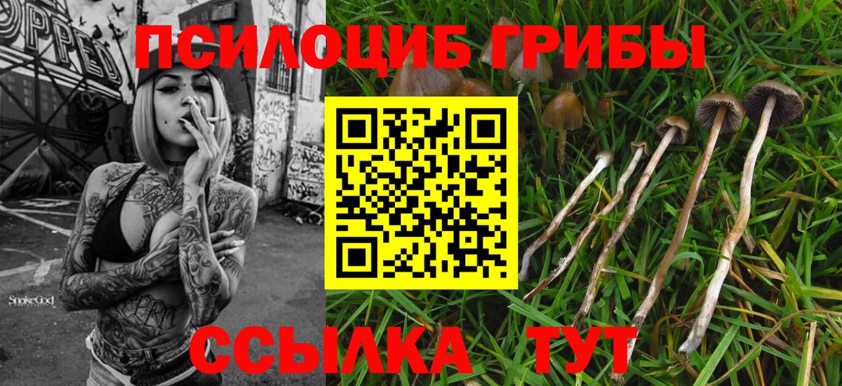 Галлюциногенные грибы MAGIC MUSHROOMS  Псилоцибиновые грибы мухоморы  Красноуфимск 