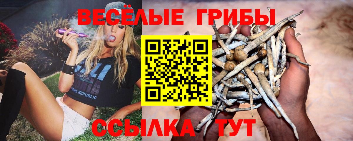 Галлюциногенные грибы прущие грибы  где найти   Красноуфимск  Галлюциногенные грибы GOLDEN TEACHER  Вход с VPN 
