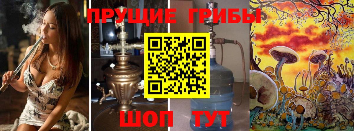 Псилоцибиновые грибы мицелий Красноуфимск