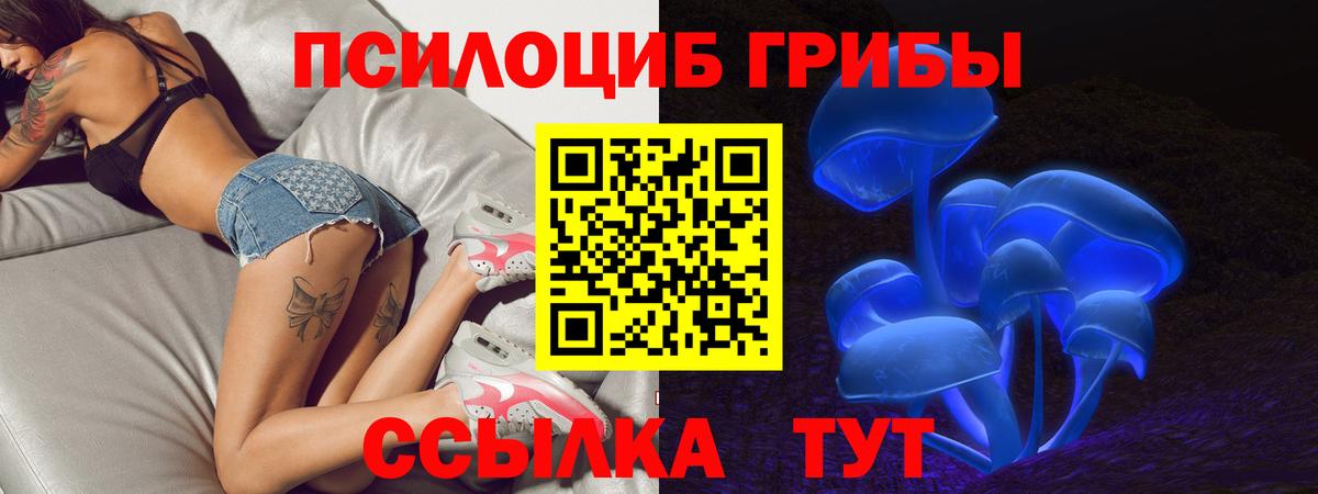 Галлюциногенные грибы прущие грибы Красноуфимск